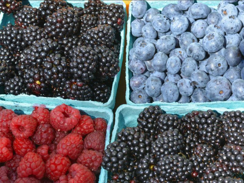 Benefits of Berries